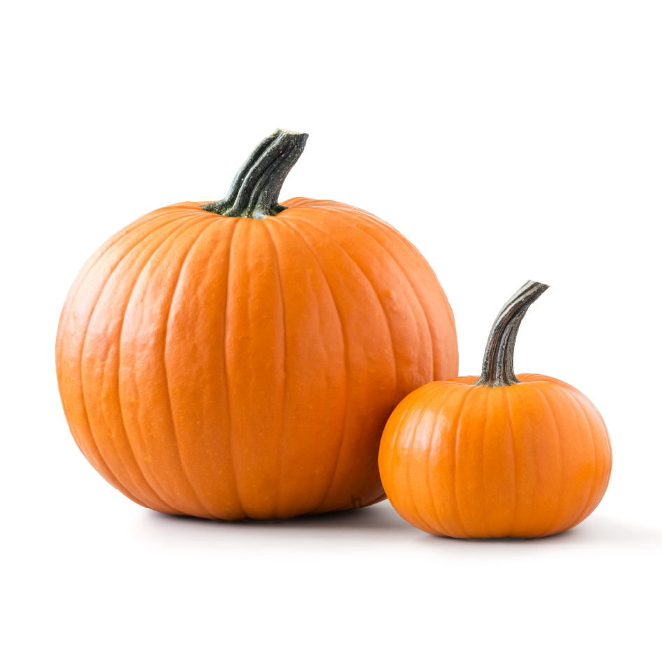 Fresh Pumpkin