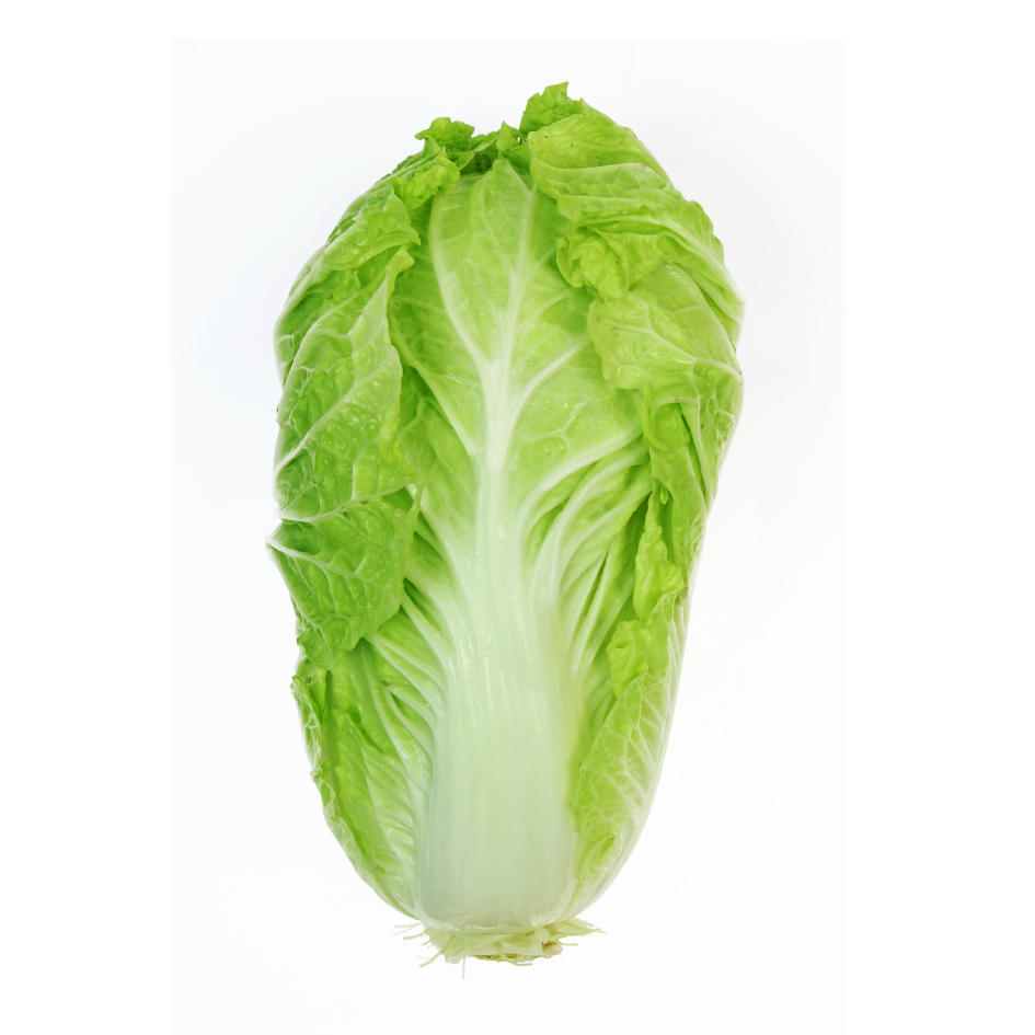 Fresh Romaine Lettuce