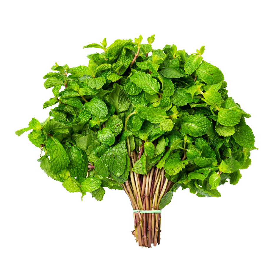 Bunch of Fresh Mint