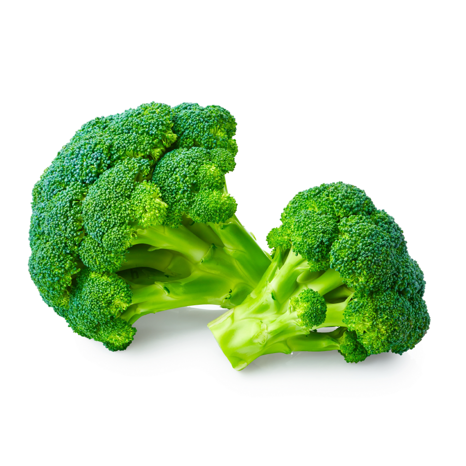 Fresh Broccoli
