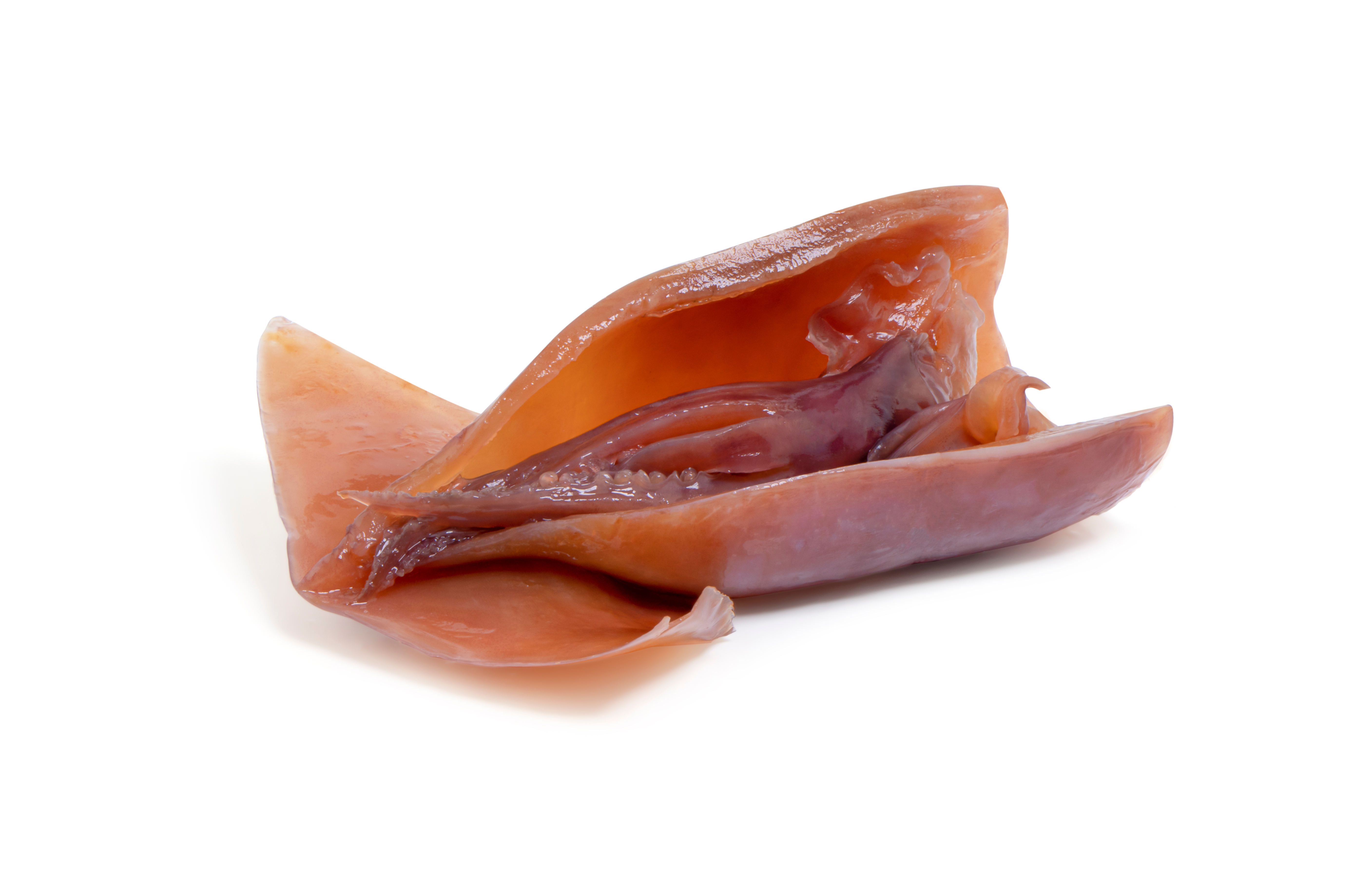 Al Fouad Mullet Fish Roe | بطارخ الفؤاد