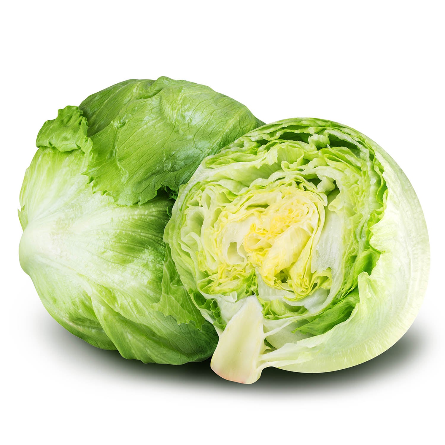 Fresh Capucha Lettuce
