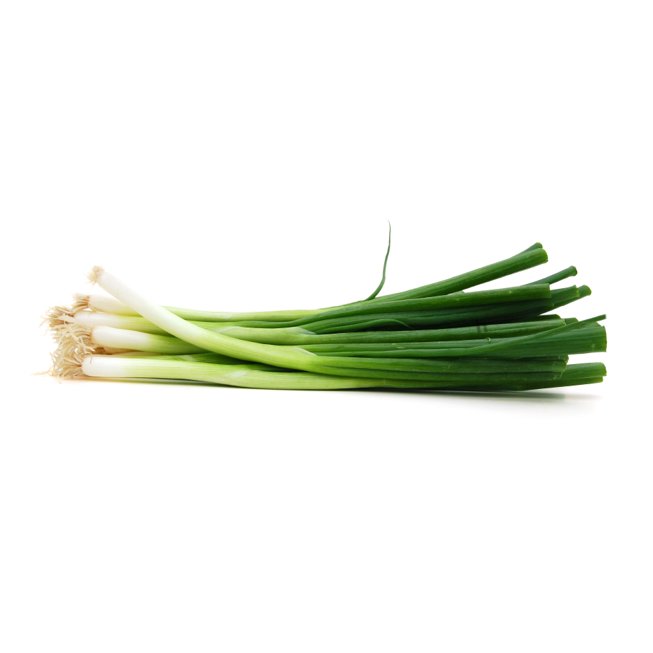 Bunch of Fresh Spring Onions