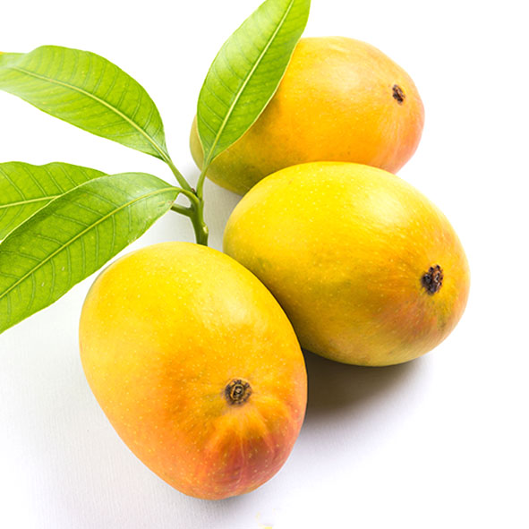 Fresh Haden Mangos