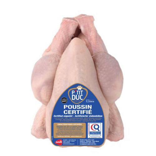Halal Poussin French Small Chicken | 10x Chickens Special Offer