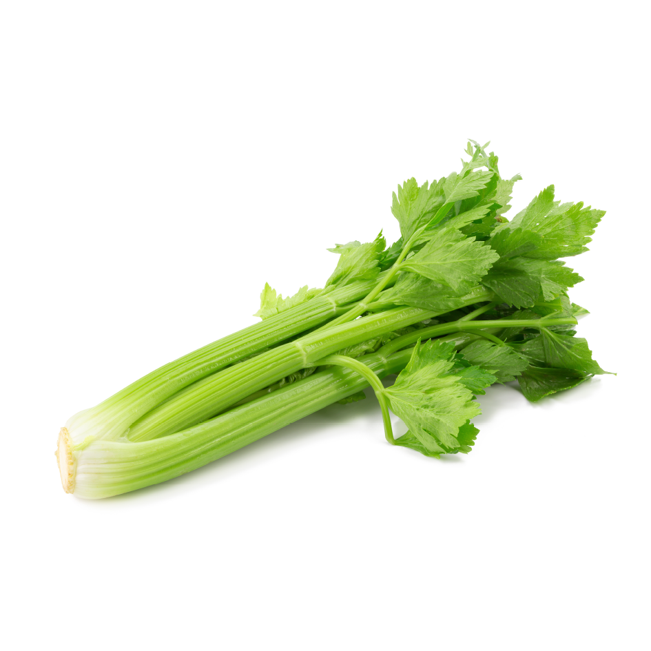 Bunch of Fresh Celery | Large