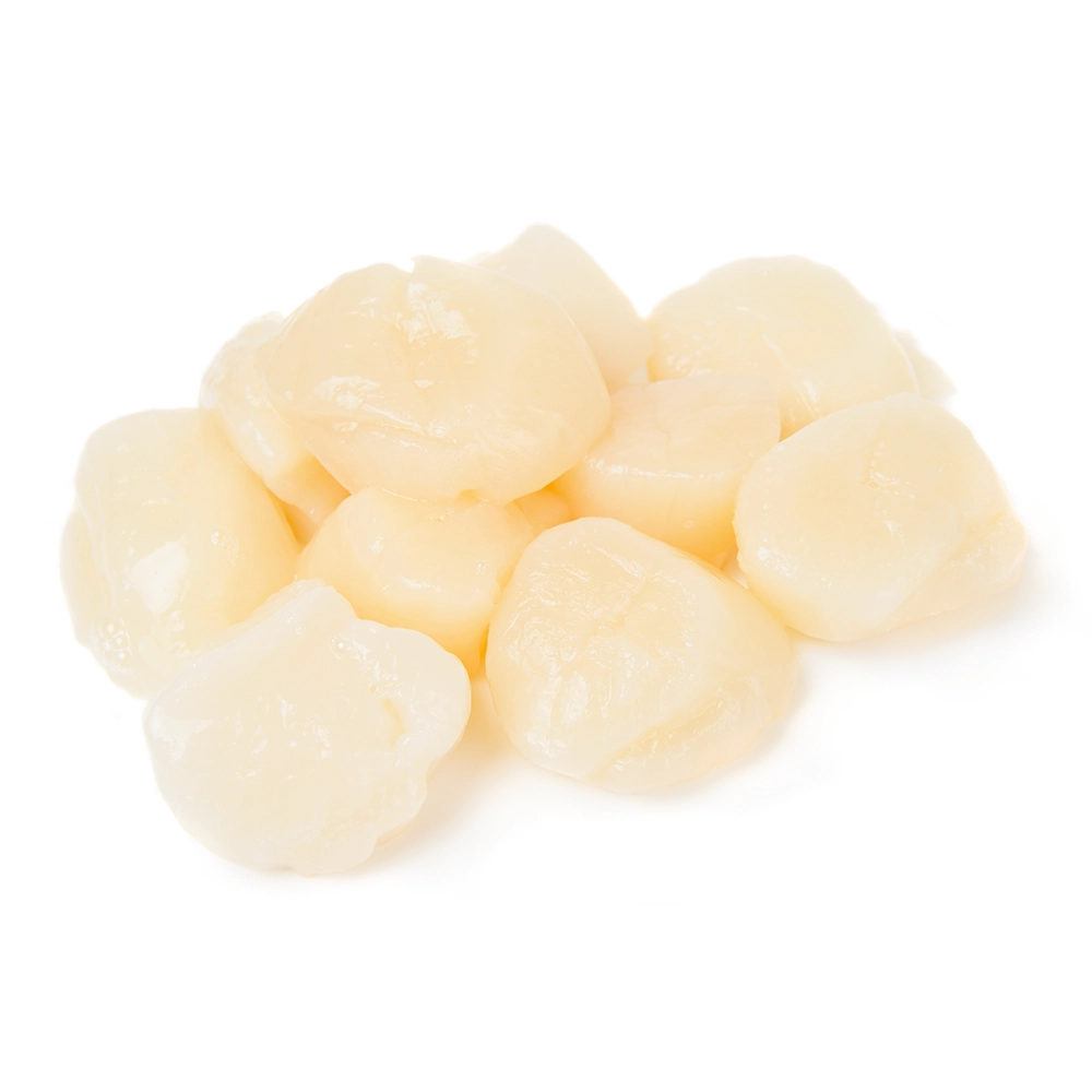 Fresh King Scallops