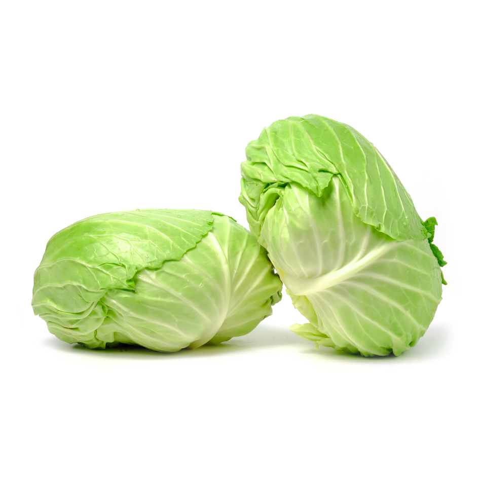 Fresh Large Turkish Cabbage