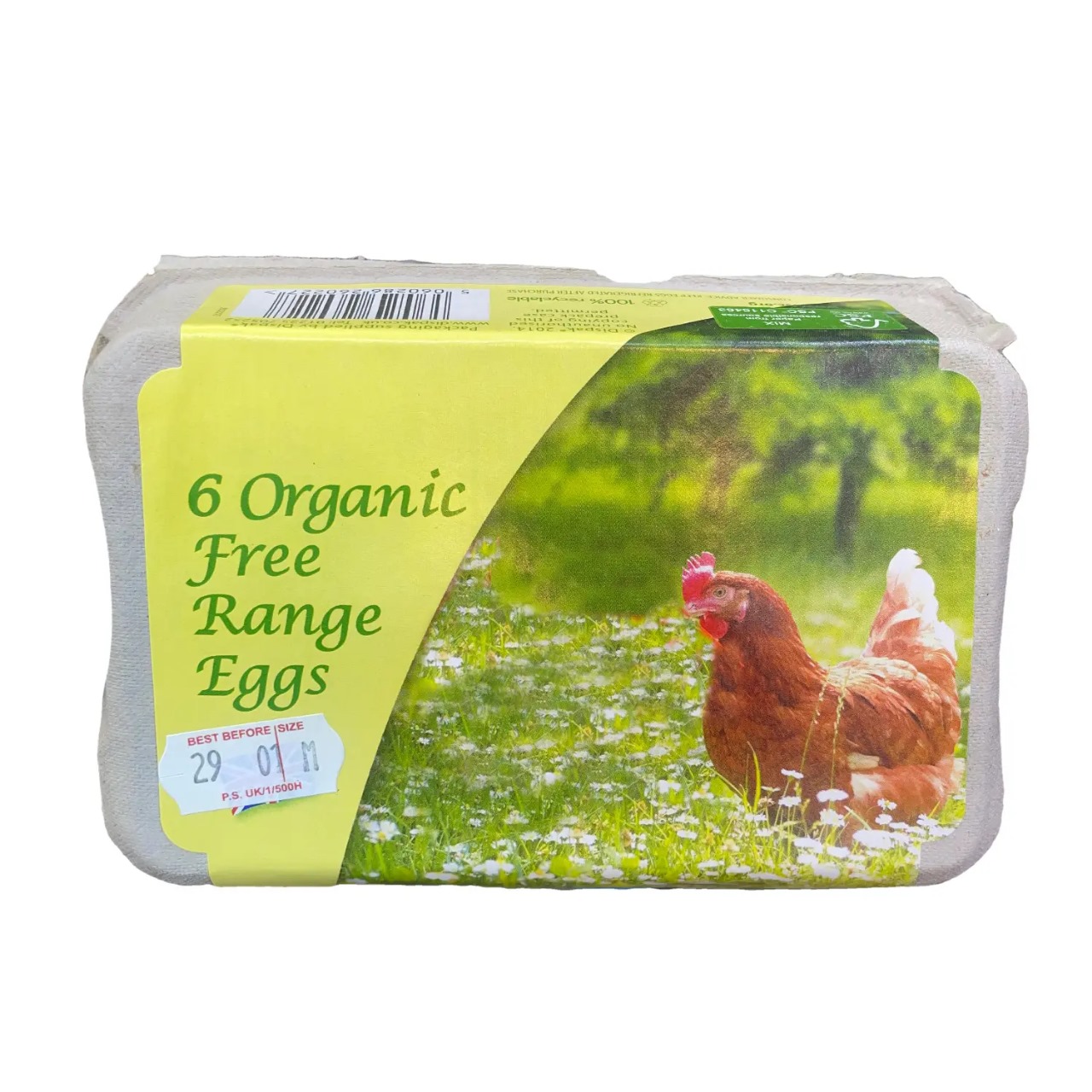Organic Free Range 6 Eggs
