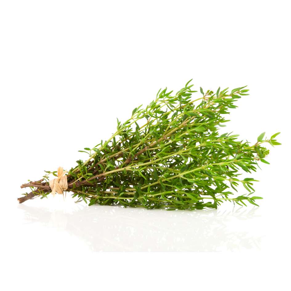 Bunch of Fresh Thyme
