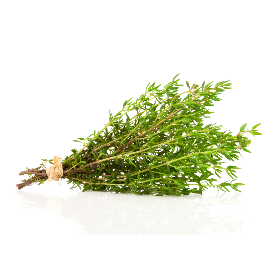 Bunch of Fresh Thyme