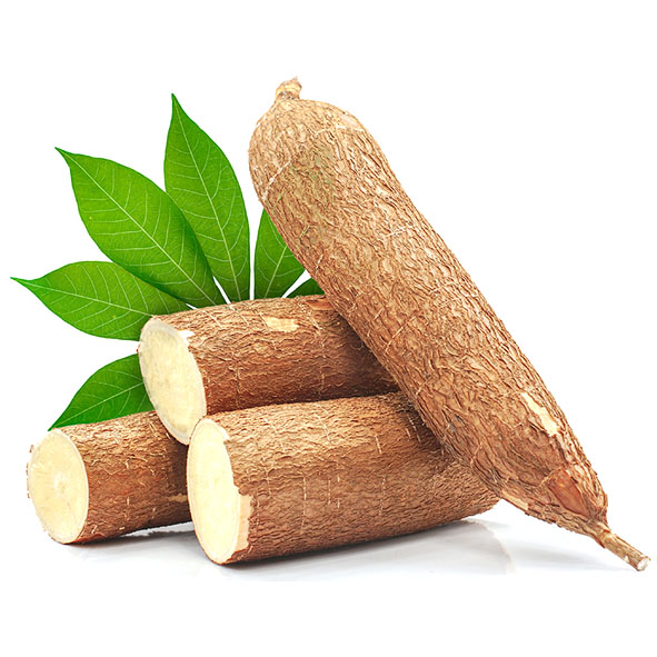 Fresh Cassava