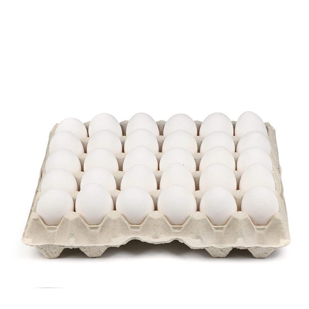 UK Eggs white Family Pack