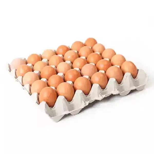 Uk Eggs Red Family Pack