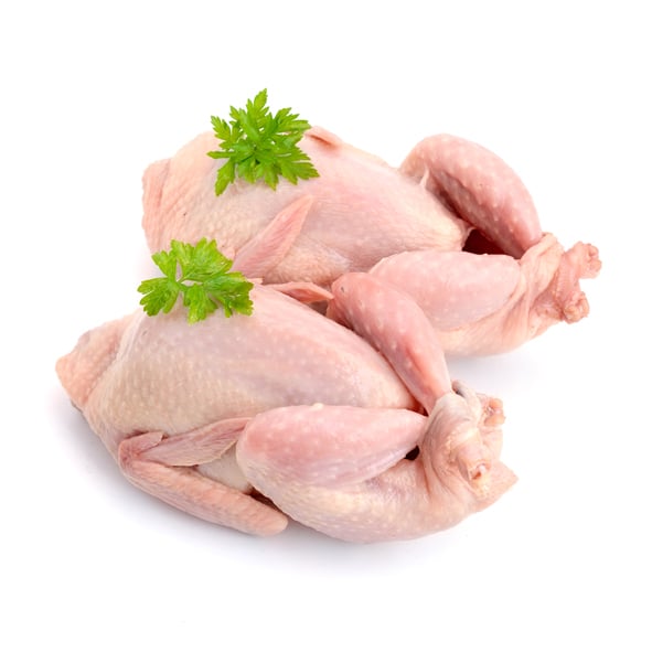 Butcher's Selection Pair of Egyptian Pigeons
