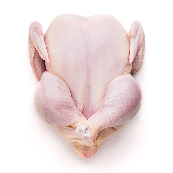 Fresh Halal Large Chicken