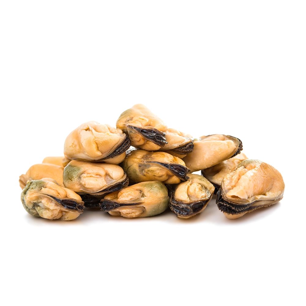Cooked Clams Meat