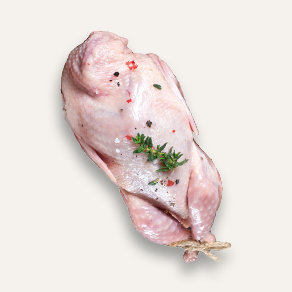 Fresh Halal Pigeon | French