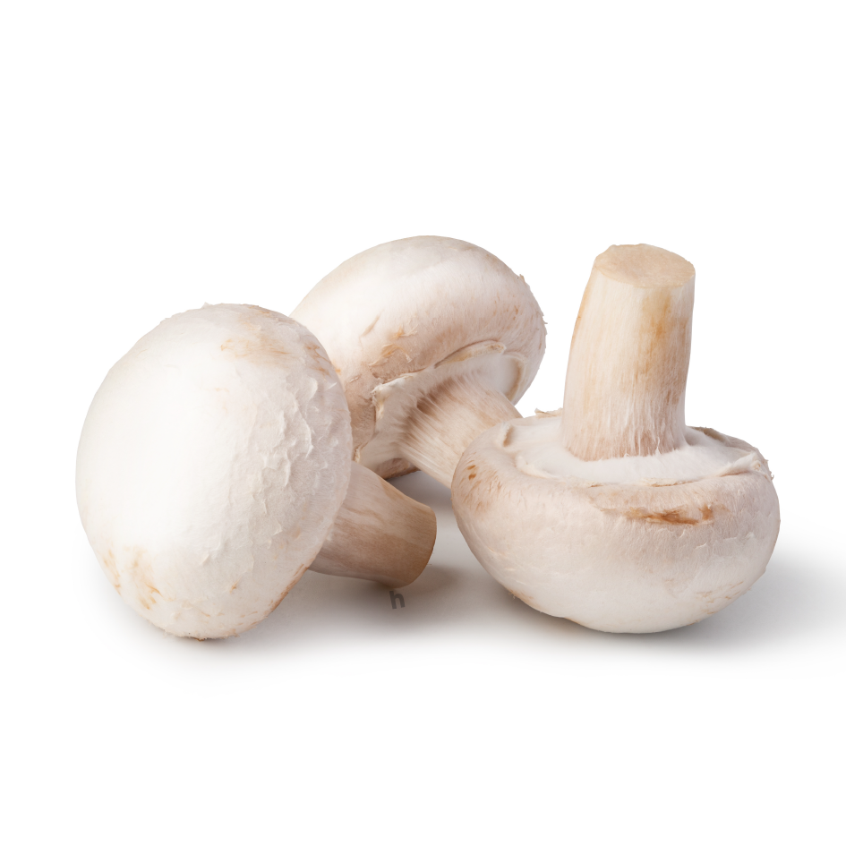 Fresh Mushroom