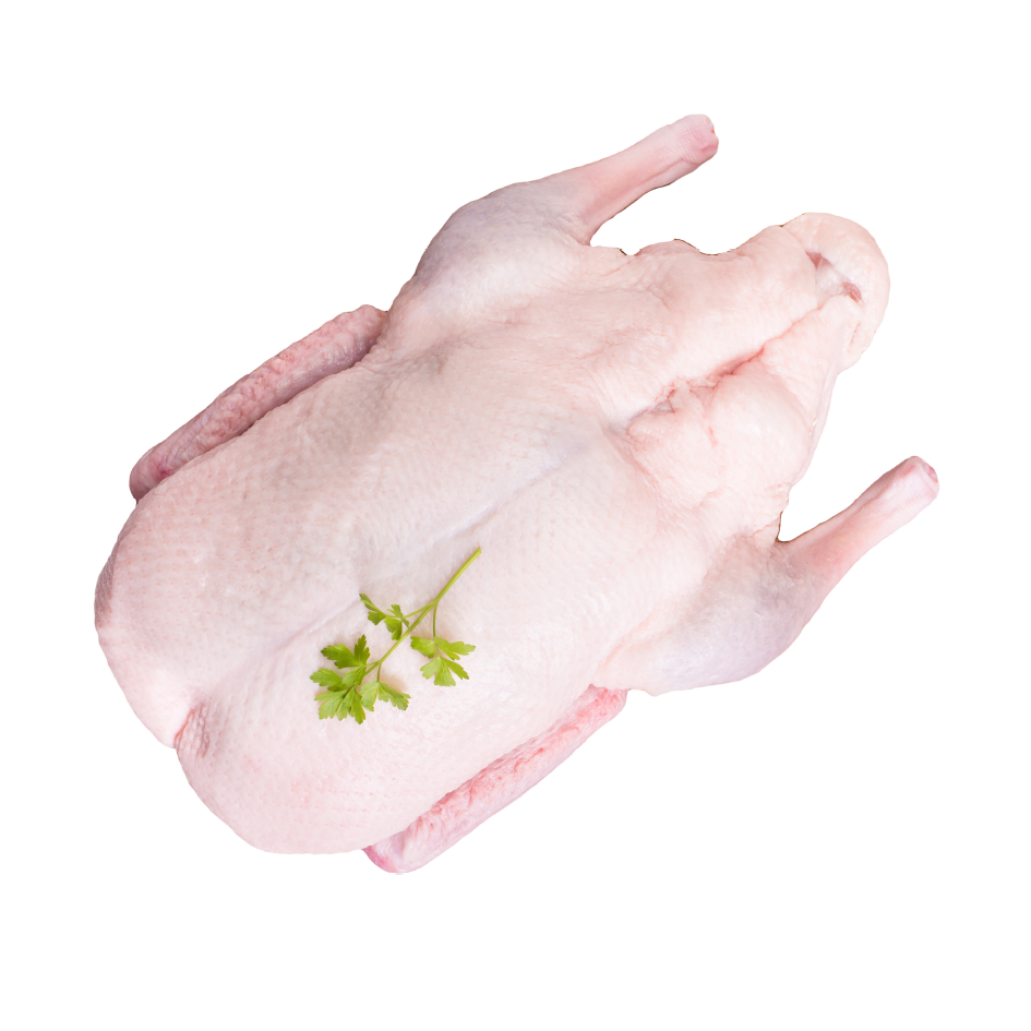 Fresh Halal Large Duck