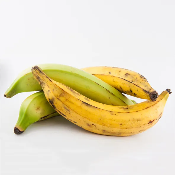 Fresh Ripen Plantain "Yellow"