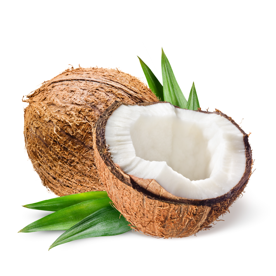 Fresh Whole Coconut