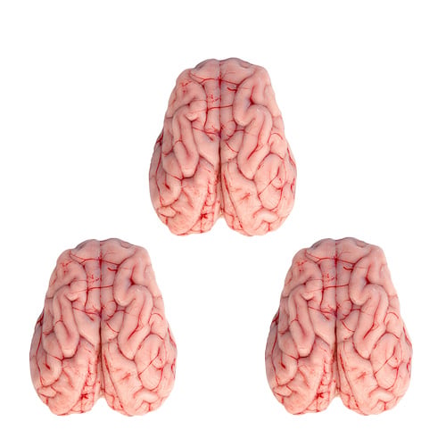 Fresh Halal Lamb Brain "Tray of 3"