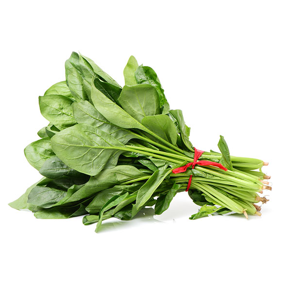 Bunch of Fresh Spinach