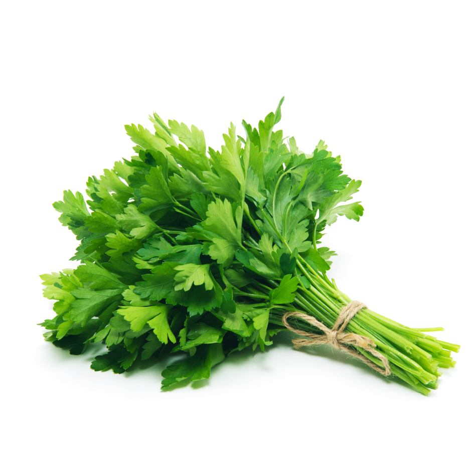 Bunch of Fresh Parsley