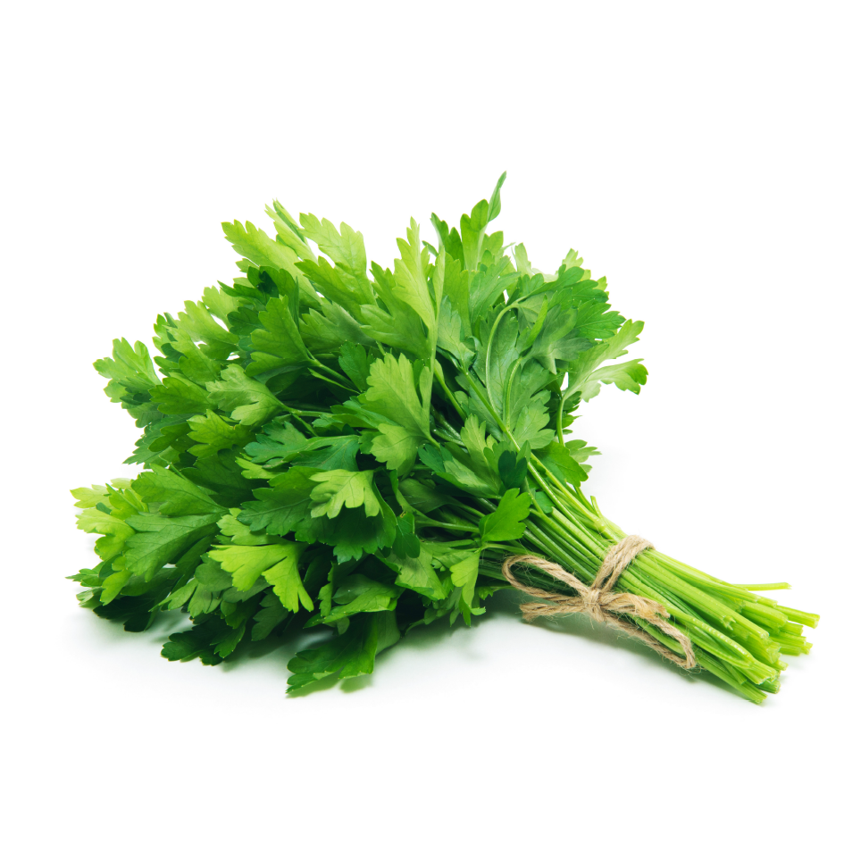 Bunch of Fresh Parsley