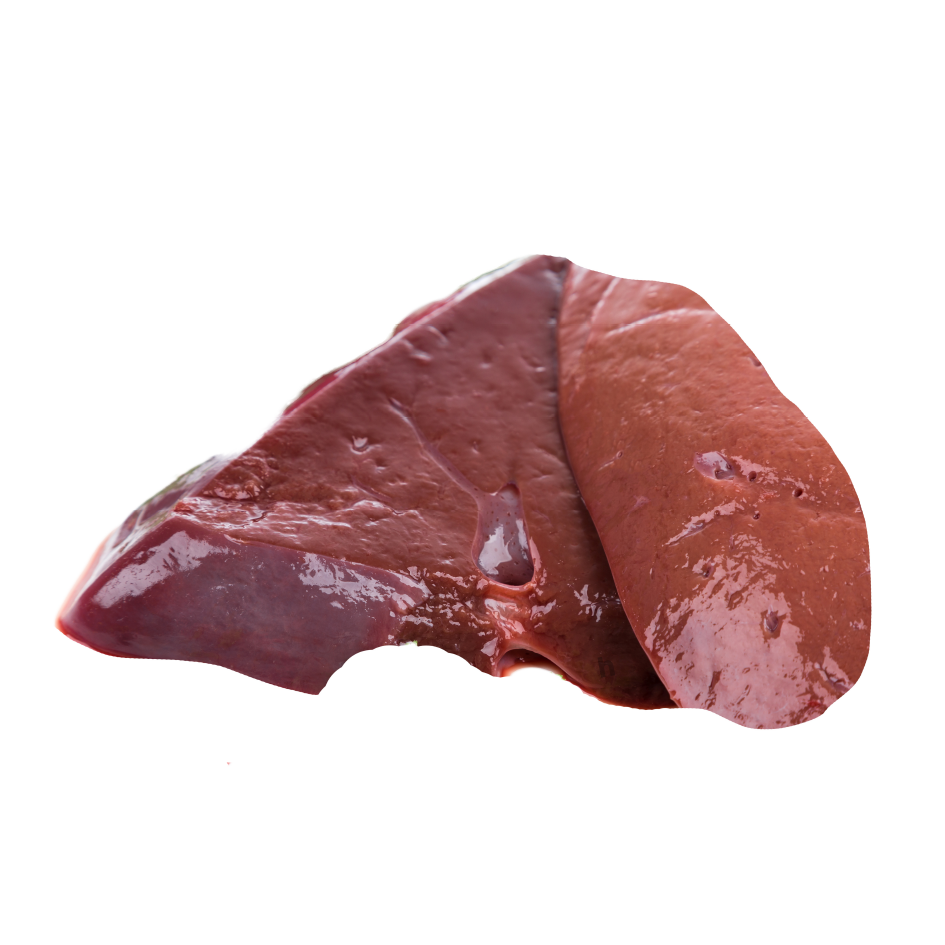 Fresh Halal Beef Liver