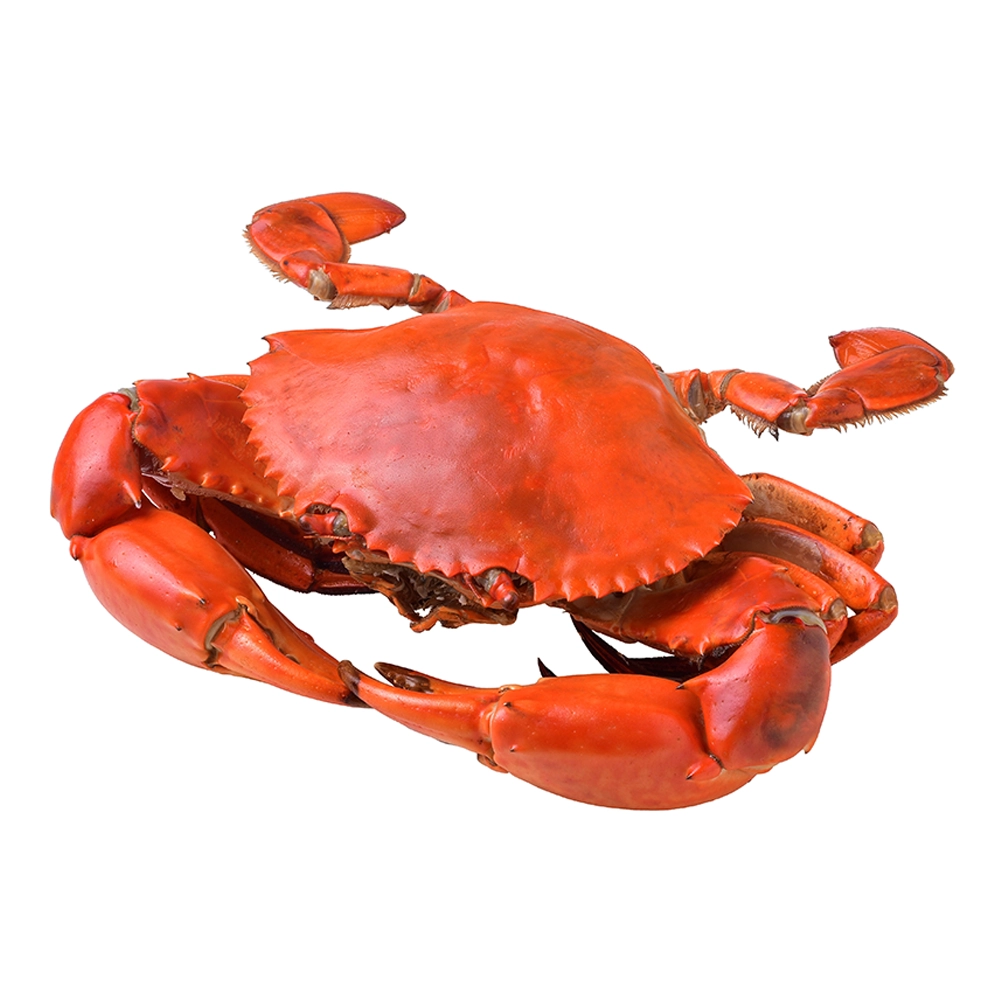 Fresh Live Crab | 2kg Special Offer