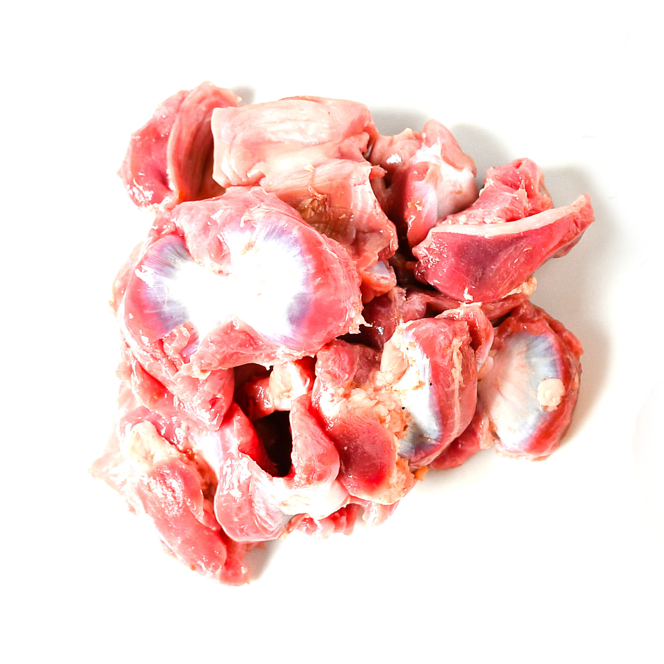 Fresh Halal Chicken Gizzards