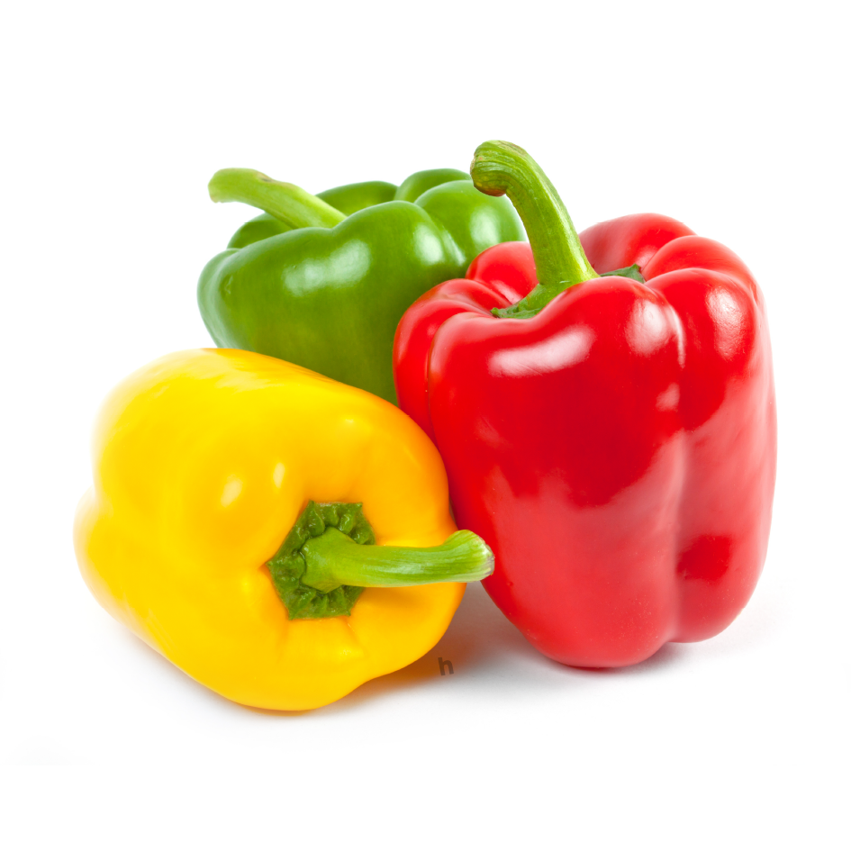 Fresh Mixed Large Bell Peppers | Pack