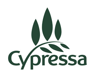 Cypressa