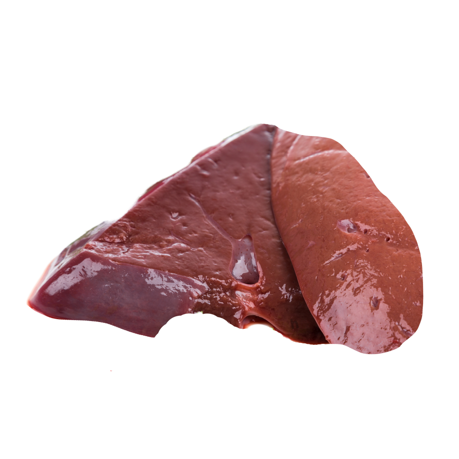 Fresh Halal Beef Liver