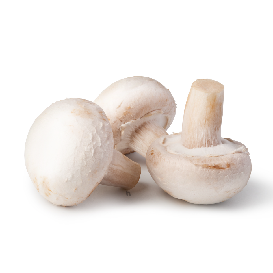 Fresh Mushroom