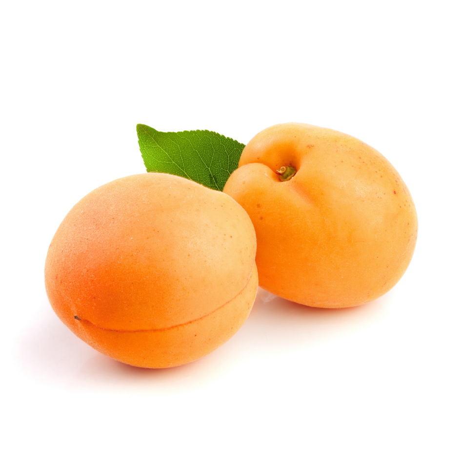 Fresh Apricot