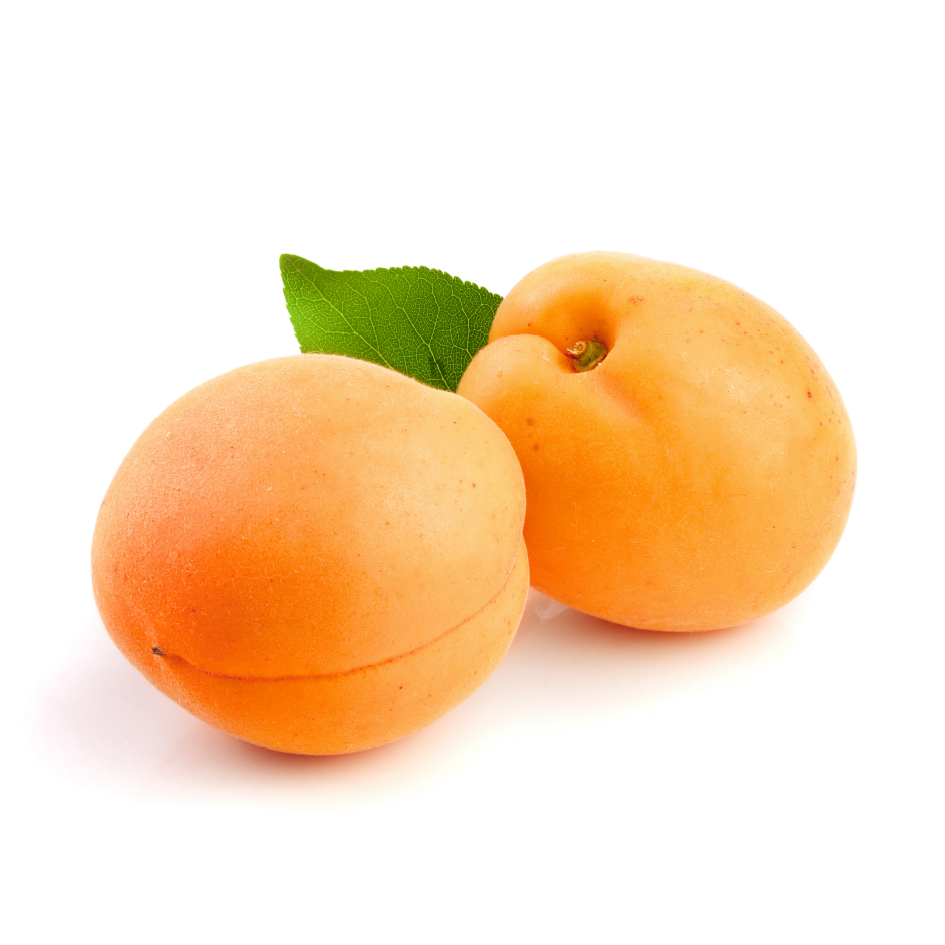 Fresh Apricot