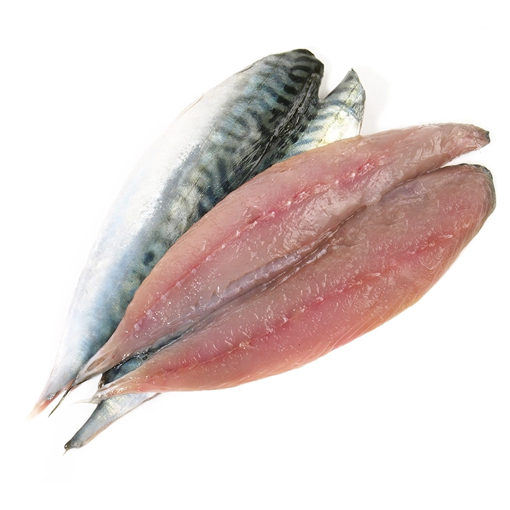 Fresh Sardine Fillets
