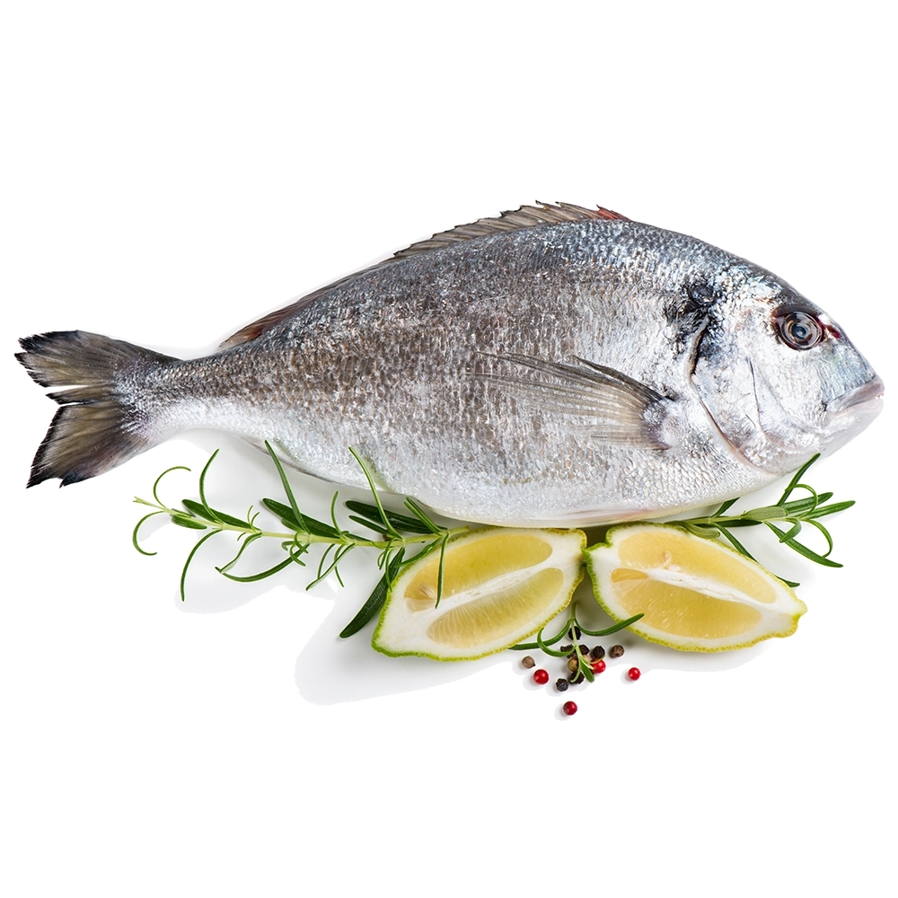 Fresh Medium Sea Bream | 4 Fish Offer