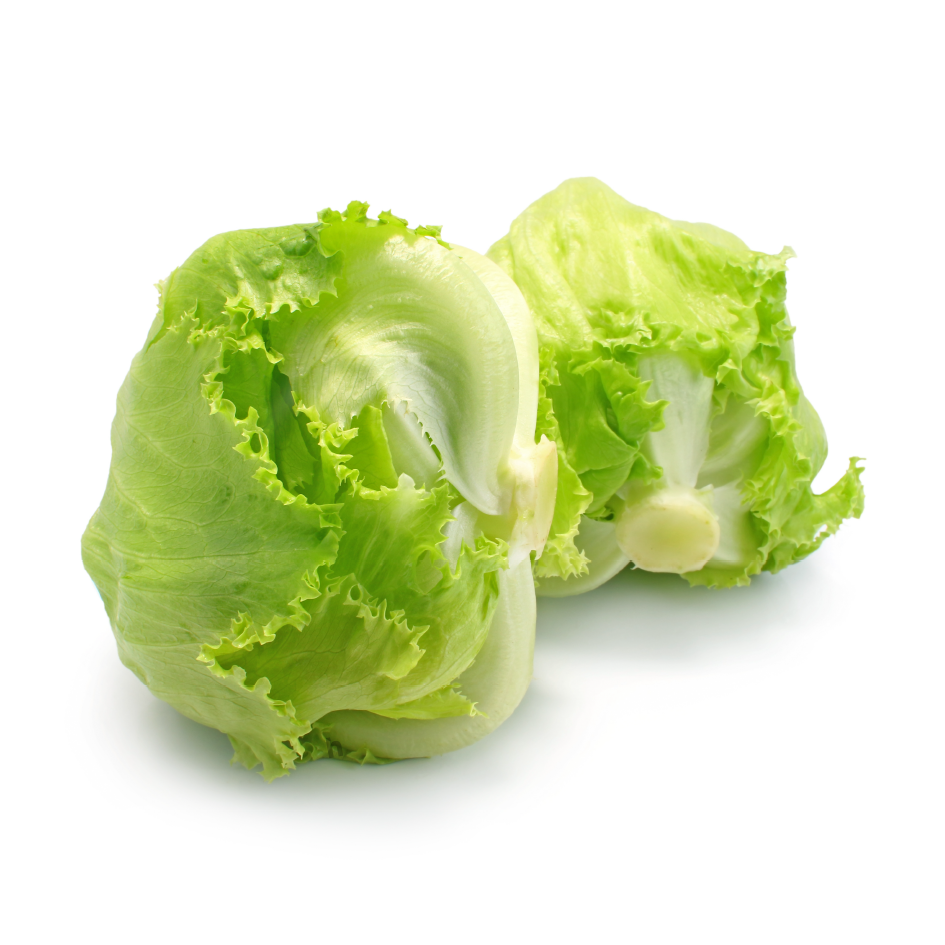 Fresh Round Lettuce