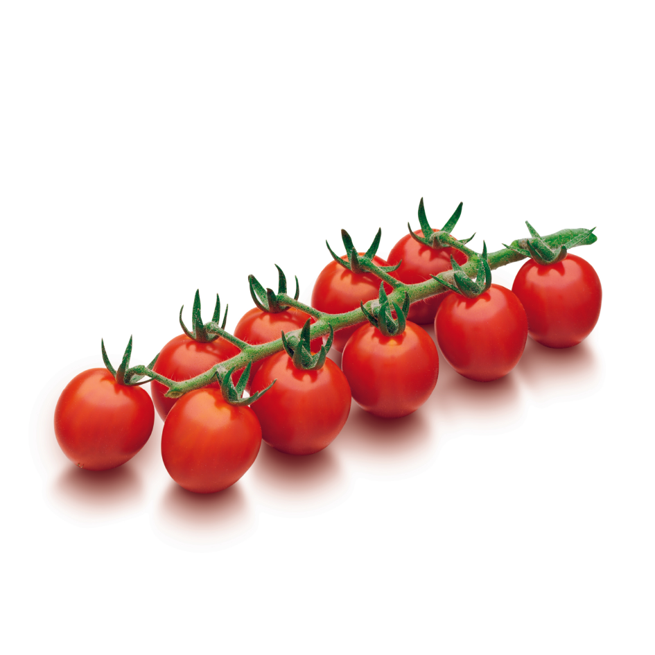 Fresh Cherry Tomatoes