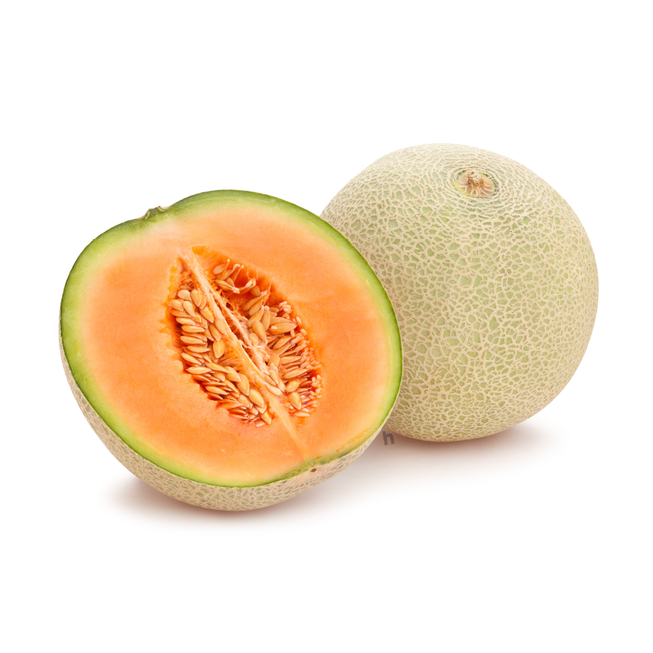 Fresh Cantaloupe